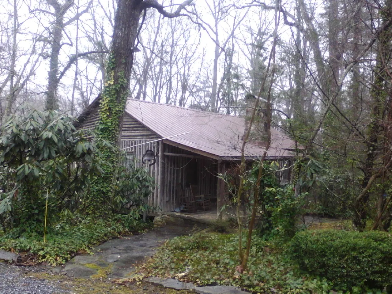 Weathered metal roof on an old board sided cabin in the woods in Cotati