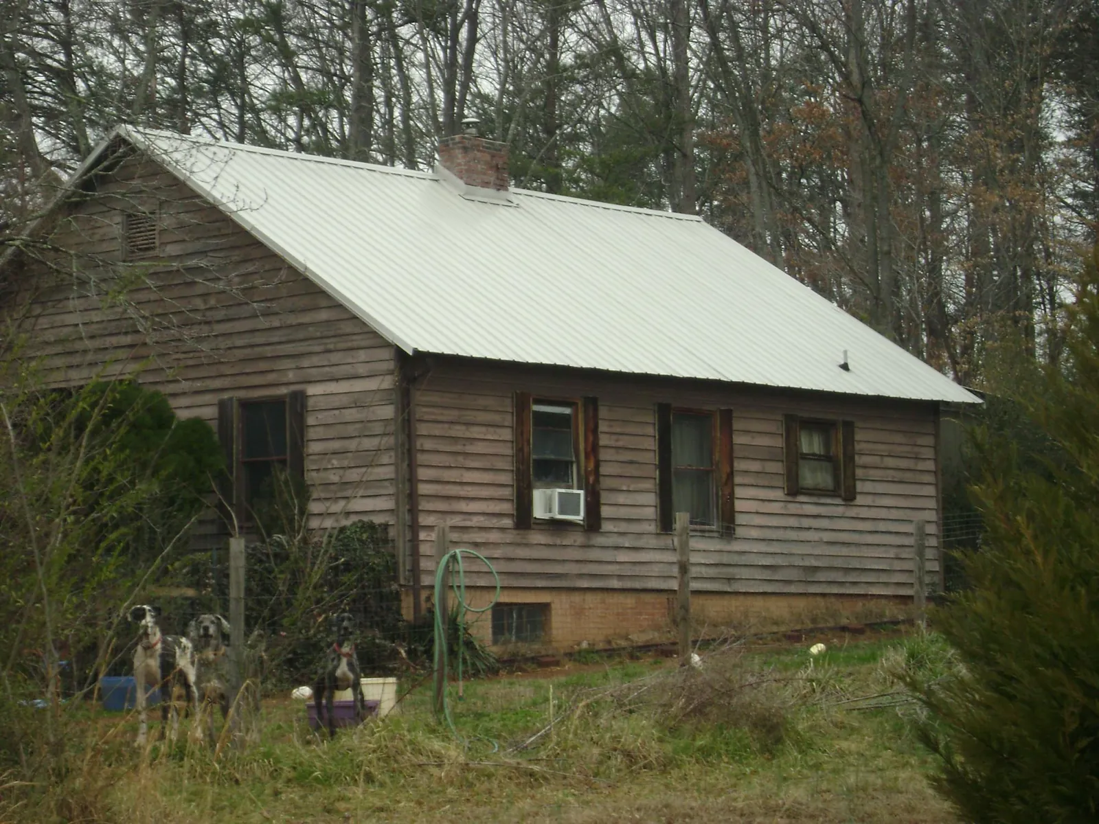 White metal roof on an old wood sided farmhouse, from a Metal Roof Installation job in Cotati